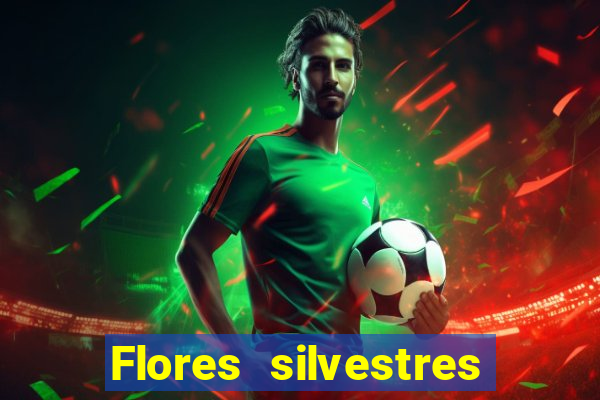 Flores silvestres brasileiras 25